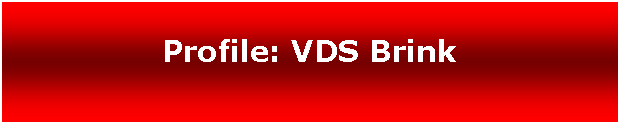 Text Box: Profile: VDS Brink